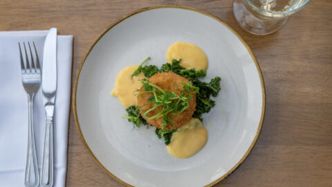 Food-Dish