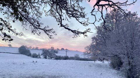 Snowy-View