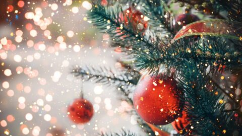 Chrstmas Tree 1920 x 1280